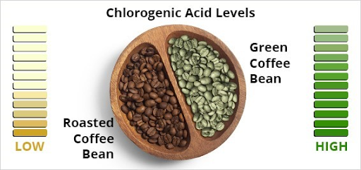 Green Coffee Health Benefits 