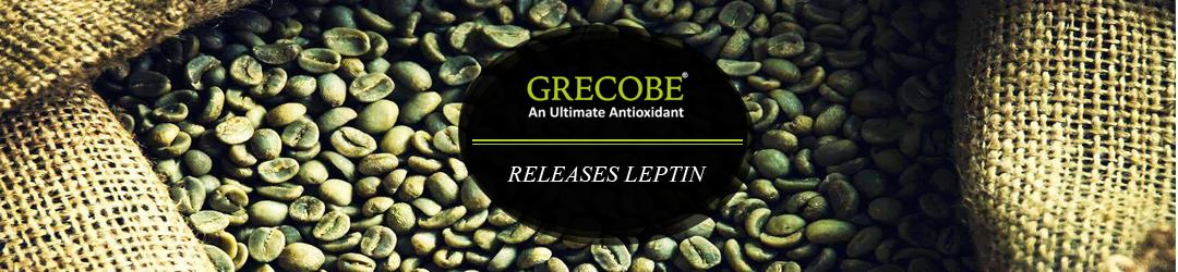 green coffee Releases leptin